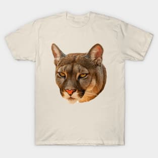 The look T-Shirt